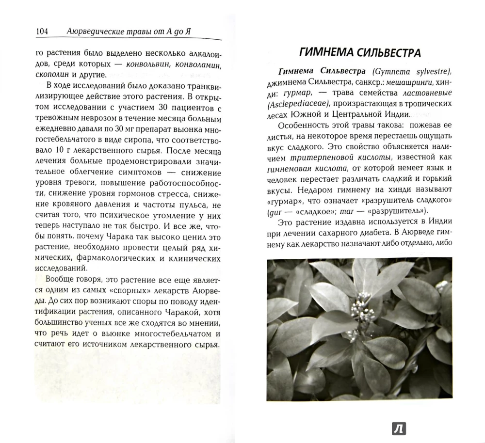 Сакральные растения аюрведы