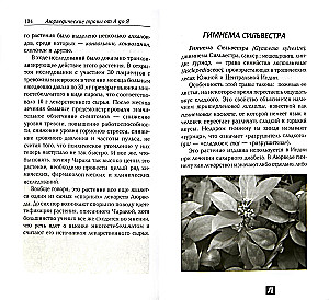 Сакральные растения аюрведы