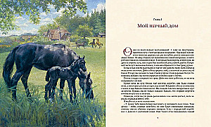Melnais skaistulis