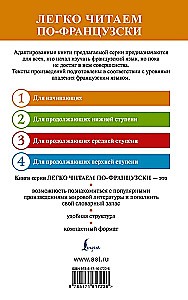 Госпожа Бовари / Madame Bovary. Уровень 1