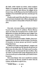 Госпожа Бовари / Madame Bovary. Уровень 1