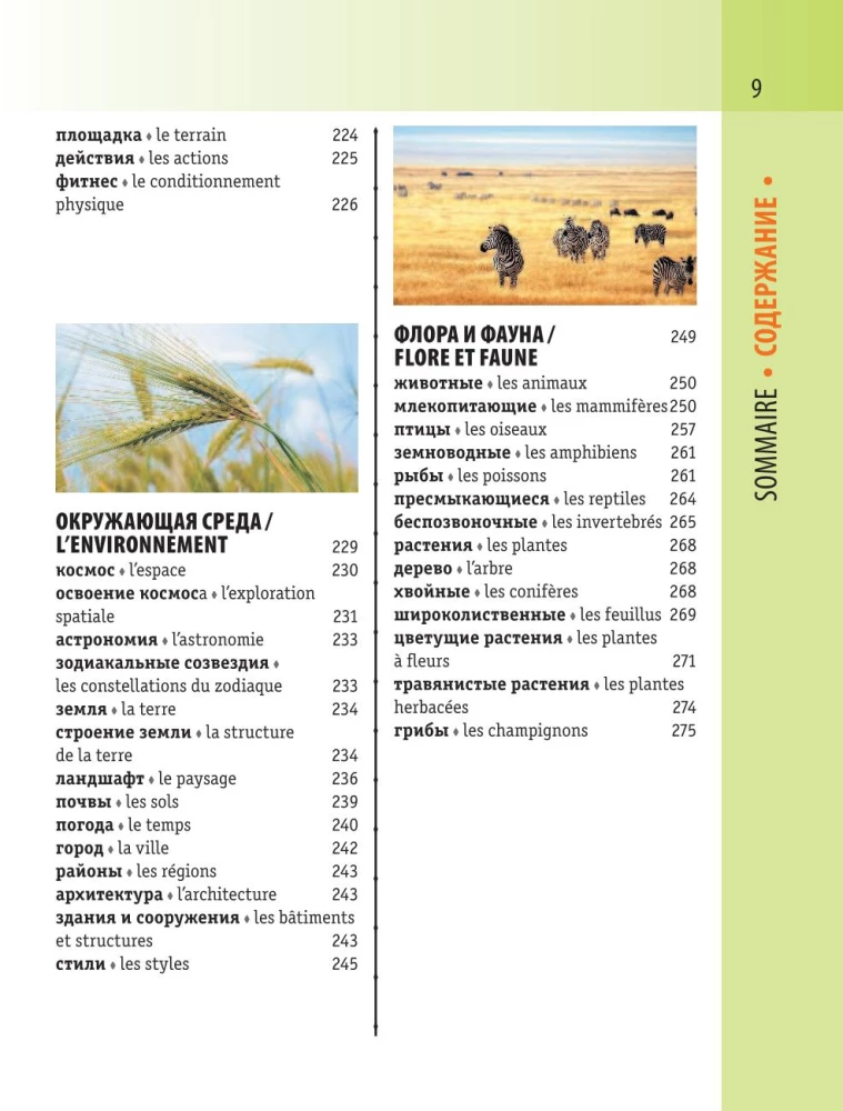 Французско-русский визуальный словарь с транскрипцией
