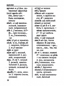 Большой французско-русский русско-французский словарь