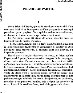 Госпожа Бовари / Madame Bovary