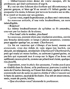 Госпожа Бовари / Madame Bovary