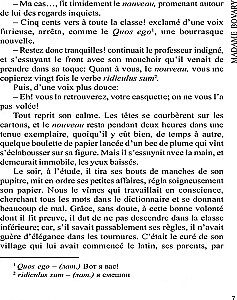 Госпожа Бовари / Madame Bovary