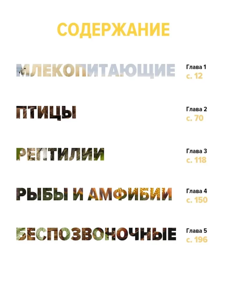 Тайны животных. Большая иллюстраированная энциклопедия