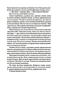 Telpa. Grāmata 4. Sibilas uguns