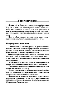 Испанский за 3 месяца. Интенсивный курс