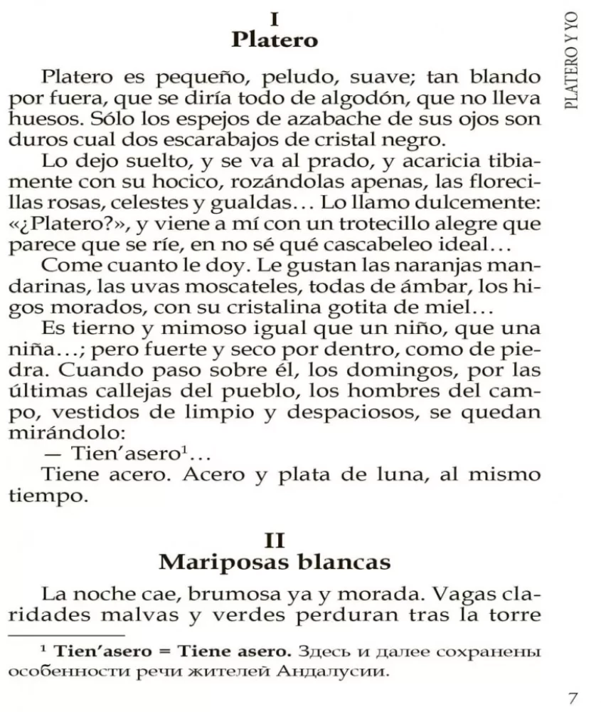Platero y yo