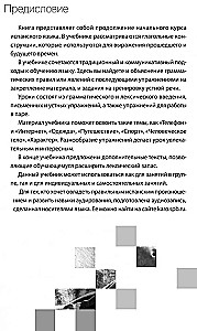 Испанский язык. Базовый курс
