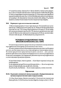 Испанский язык. Практический курс