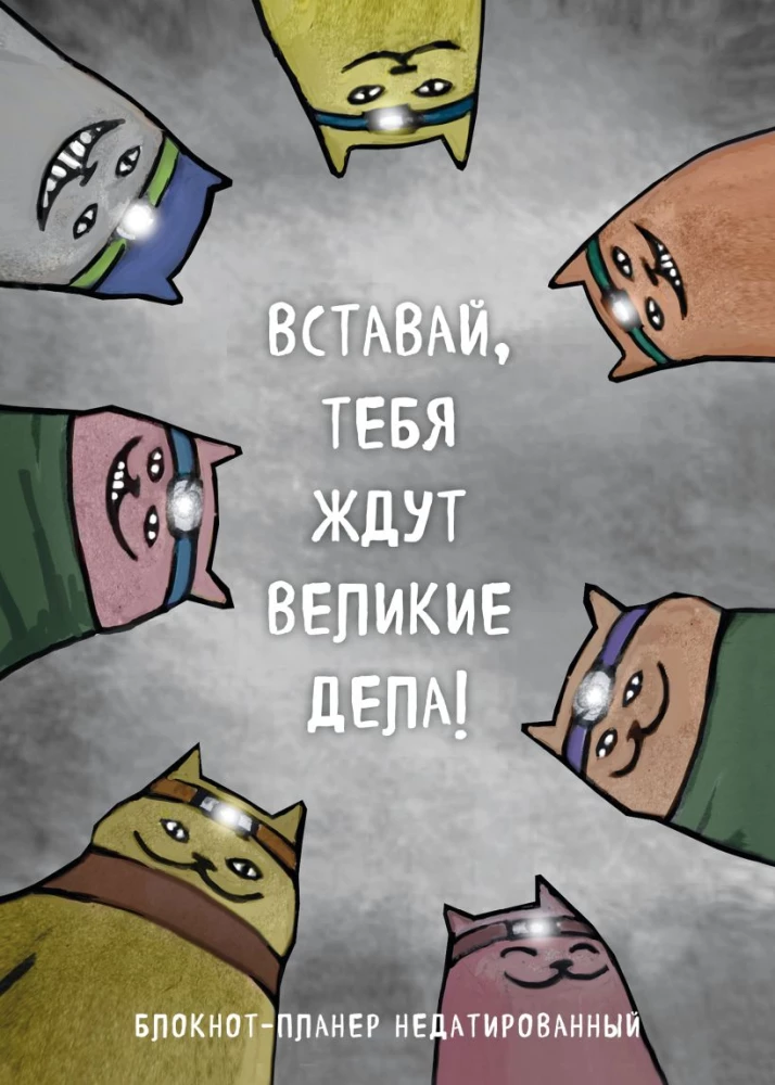 Блокнот-планер недатированный. Вставай, тебя ждут великие дела!