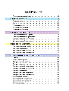 Популярный атлас анатомии человека. 200 классических иллюстраций из Анатомии Грея
