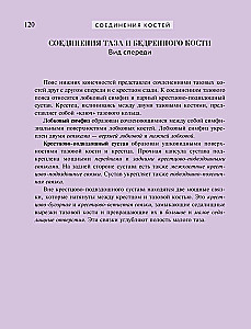 Популярный атлас анатомии человека. 200 классических иллюстраций из Анатомии Грея