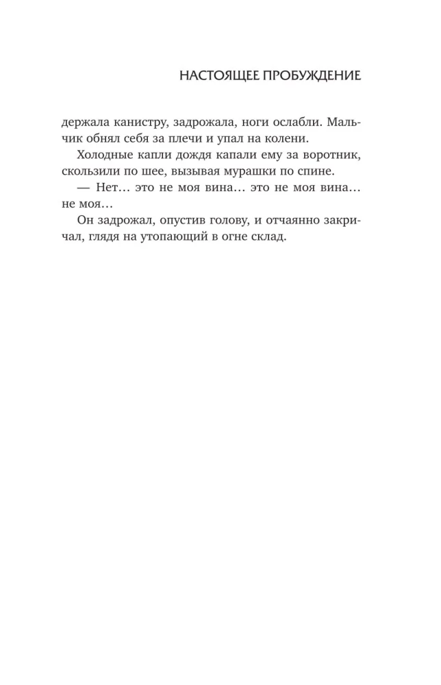 Настоящее пробуждение. Real Awakening. Книга 4