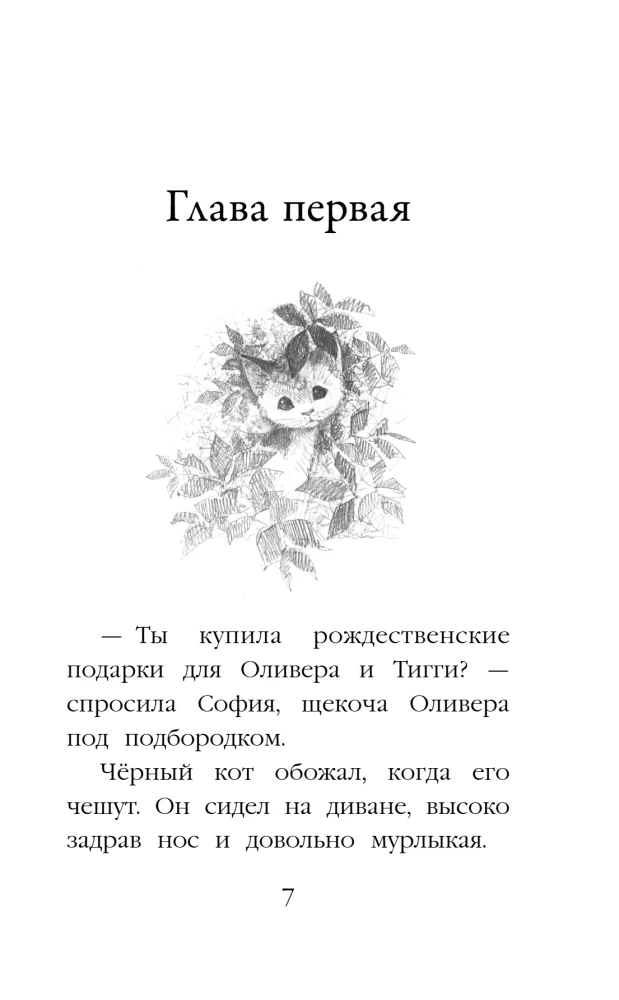 Котенок Заплатка, или Обретенный дом