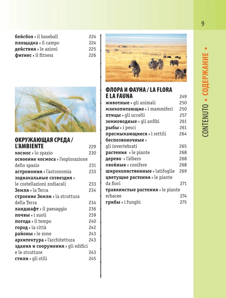 Итальянско-русский визуальный словарь с транскрипцией