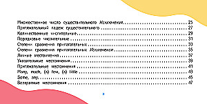 Visnozīmīgākie angļu valodas noteikumi skolēniem