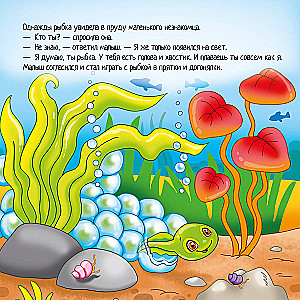Приключения лягушонка