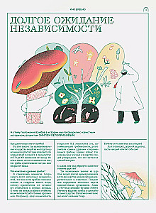 Miko. Pilnīgs ceļvedis sēņu pasaulē. Izdevums 1