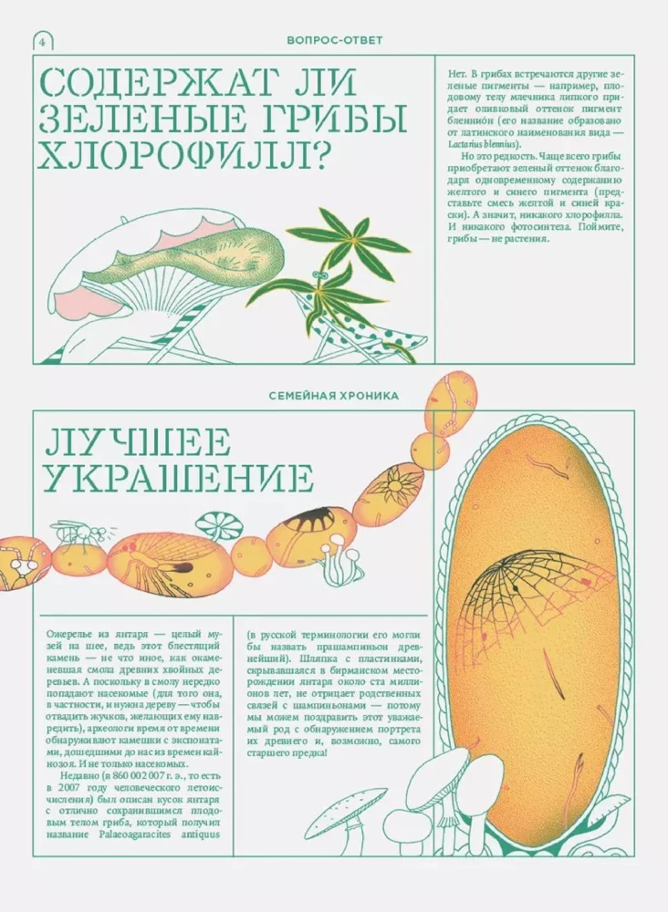 Miko. Pilnīgs ceļvedis sēņu pasaulē. Izdevums 1
