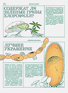 Miko. Pilnīgs ceļvedis sēņu pasaulē. Izdevums 1