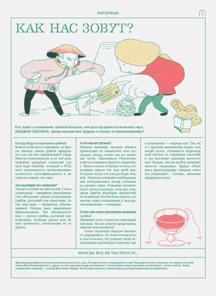 Miko. Pilnīgs ceļvedis sēņu pasaulē. Izdevums 1