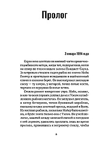 Что скрывает прилив
