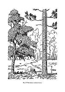 Aizraujoša matemātika
