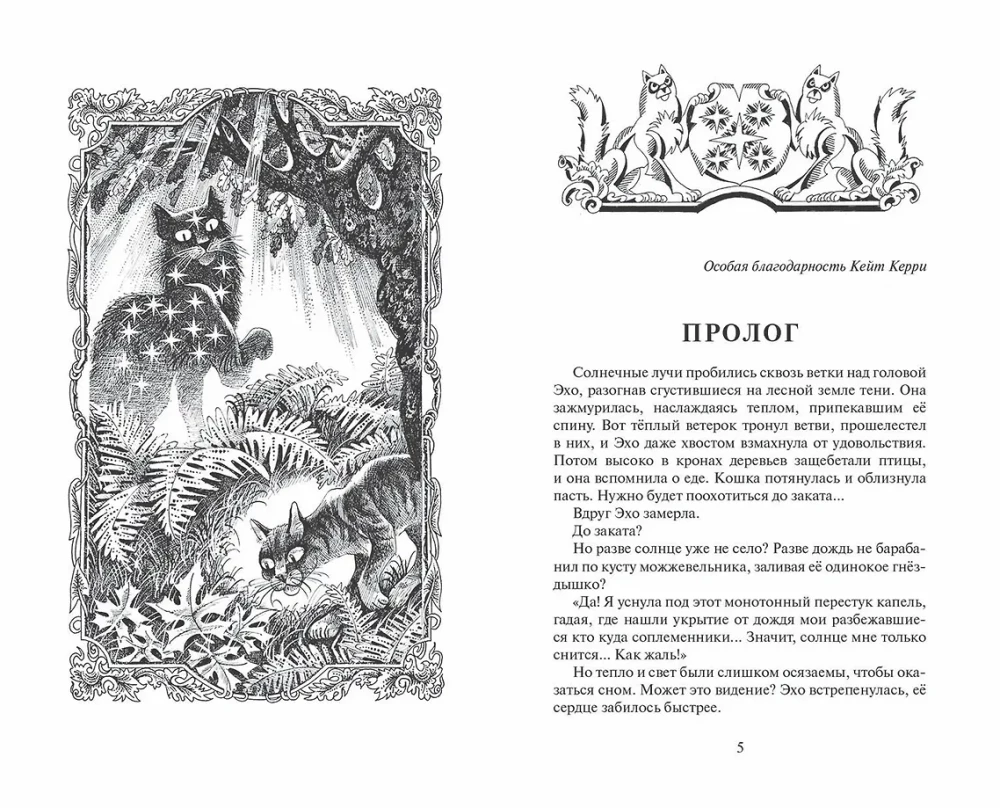 Гроза и тень
