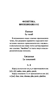 Итальянская грамматика без репетитора. Все сложности в простых схемах