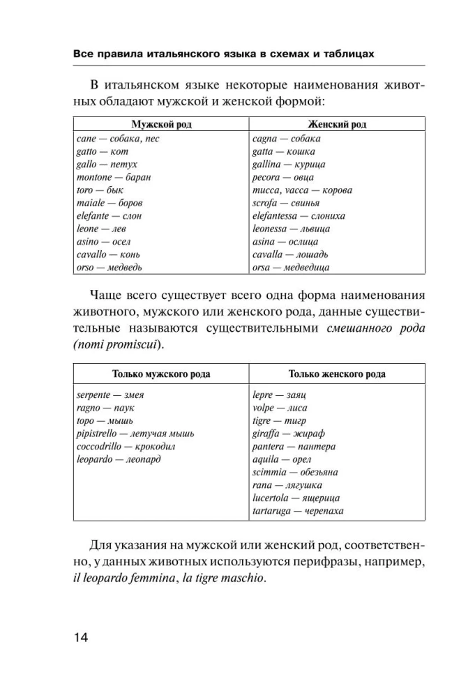 Все правила итальянского языка в схемах и таблицах