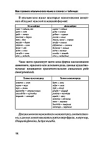 Все правила итальянского языка в схемах и таблицах