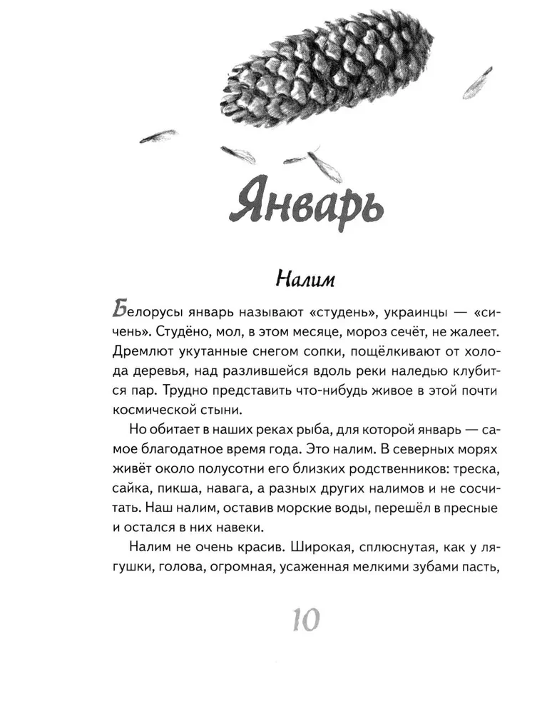 Eju pa taigā