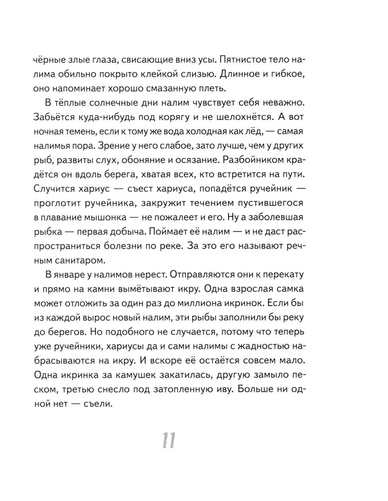 Eju pa taigā