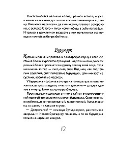 Eju pa taigā