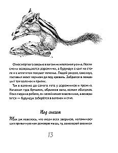Eju pa taigā