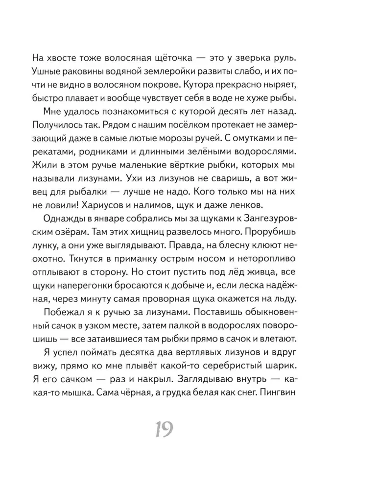 Eju pa taigā