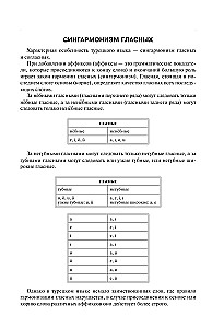 Самоучитель турецкого языка с нуля