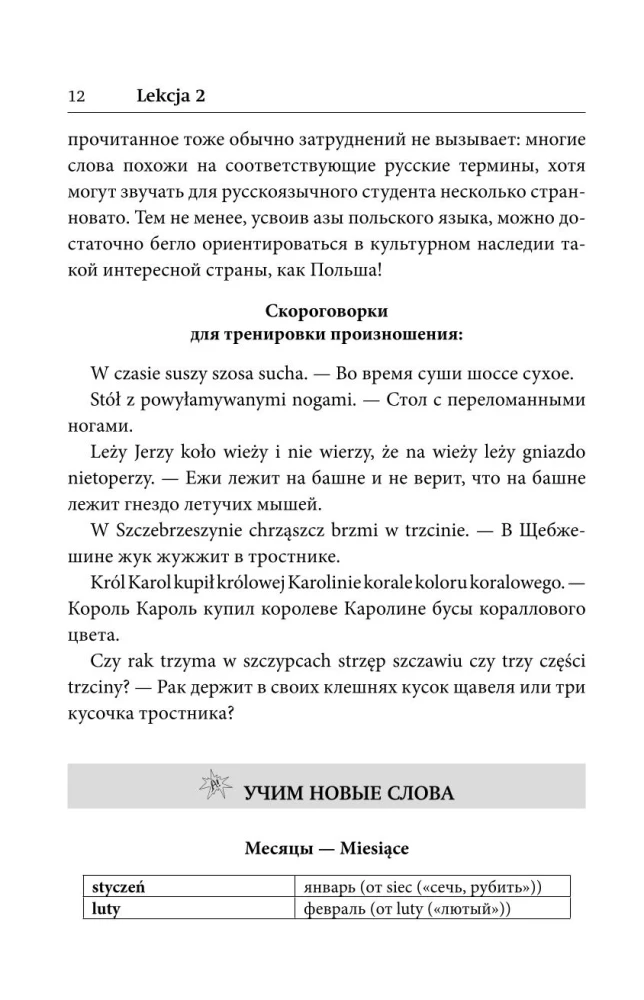 Польский язык. Лучший самоучитель