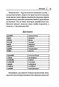 Чешский язык. Новый самоучитель