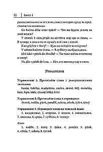 Чешский язык. Новый самоучитель