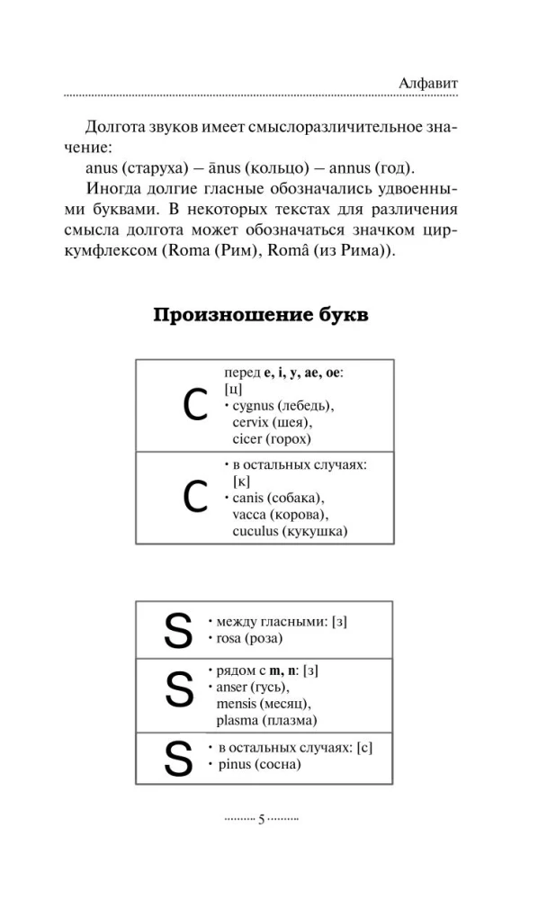 Латинская грамматика без репетитора. Все сложности в простых схемах