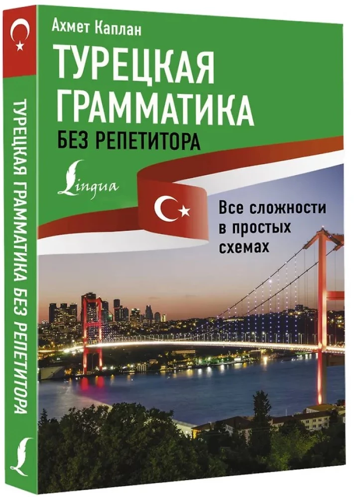 Турецкая грамматика без репетитора. Все сложности в простых схемах