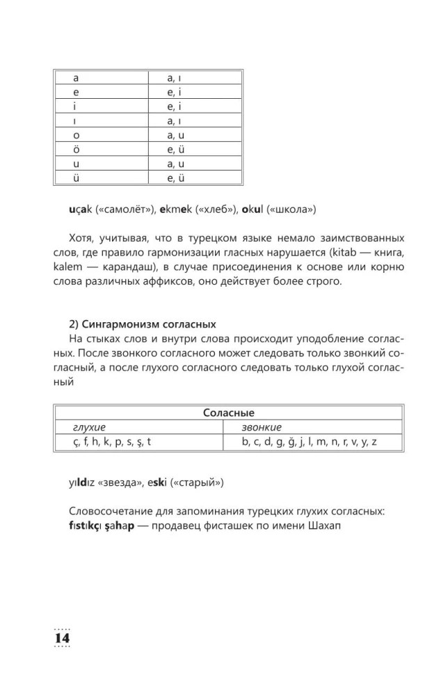 Интенсивный курс турецкого языка для начинающих