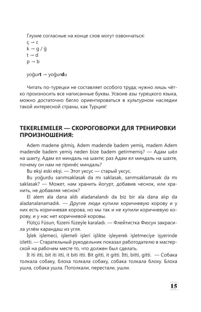 Интенсивный курс турецкого языка для начинающих