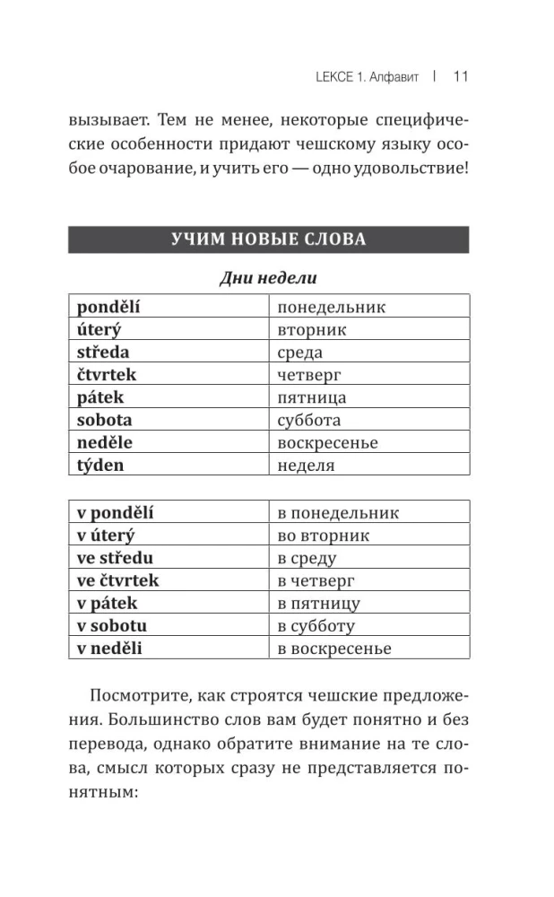 Чешский язык! Большой понятный самоучитель. Всё подробно и по полочкам