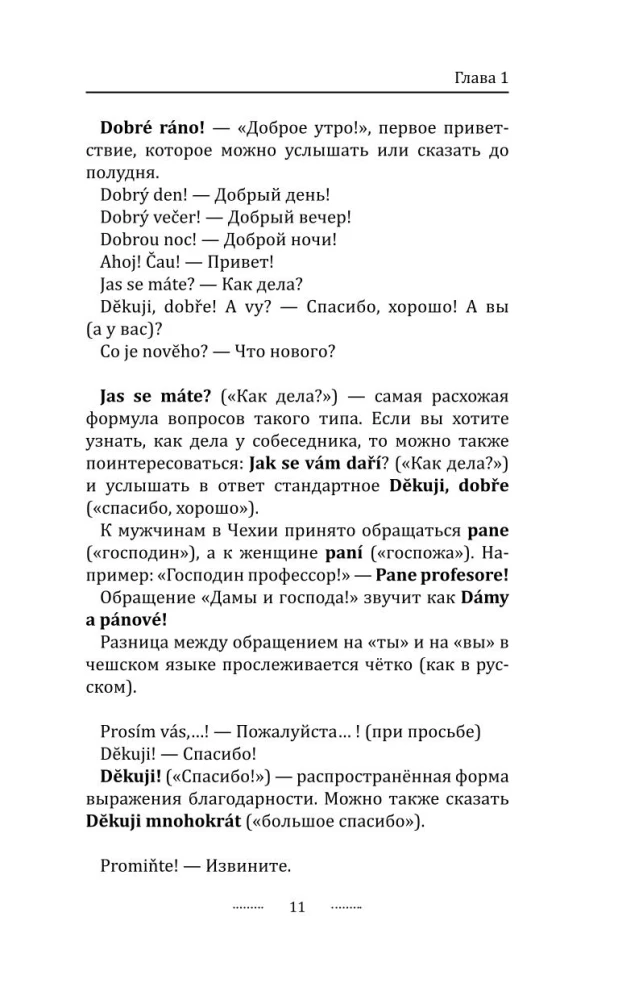 Грамматика чешского языка за 30 дней