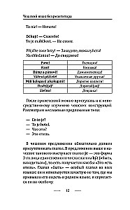Грамматика чешского языка за 30 дней